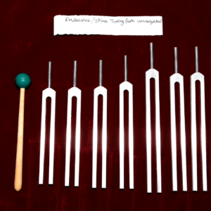 https://rewarihandicrafts.com/product/endocrine-spine-tuning-fork-unweighted/