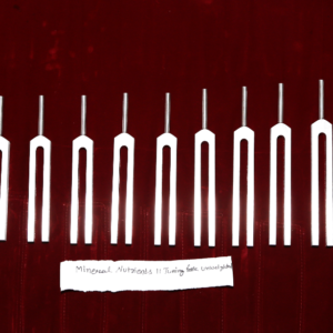 https://rewarihandicrafts.com/product/mineral-nutrients-tuning-fork/