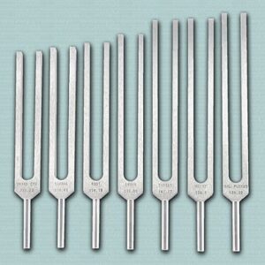 https://rewarihandicrafts.com/product/set-of-7-tuning-fork/